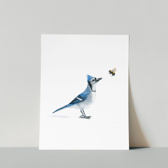 Blue Jay & Bee Print