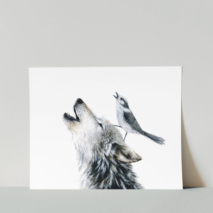 Gray Wolf & Gray Jay Print