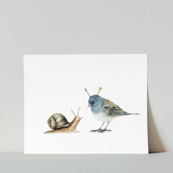 Junco and Snail Print