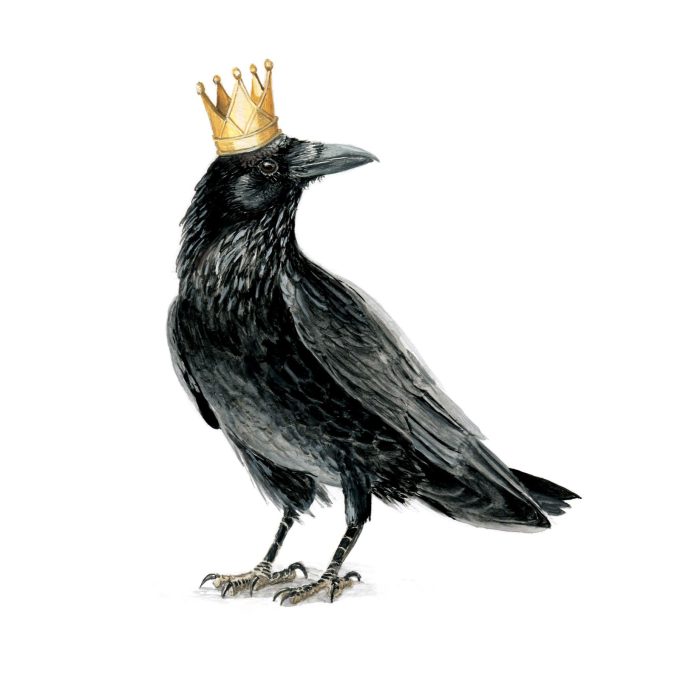 Reigning Raven Print