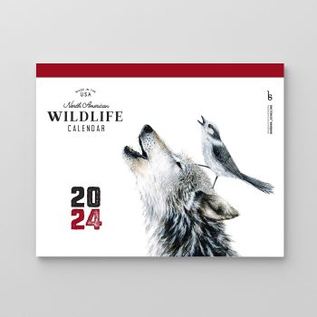 Wildlife Calendar front cover
