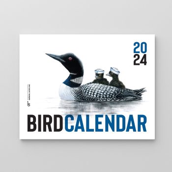 Bird Calendar front cover