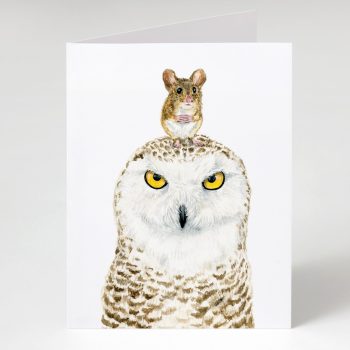 Owl and mouse