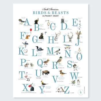 Birds and Beasts Alphabet Poster