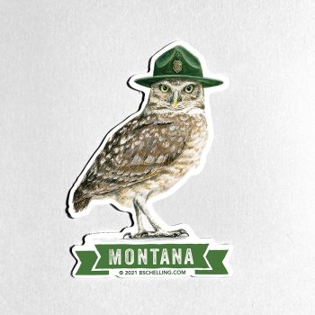 Ranger Owl Sticker