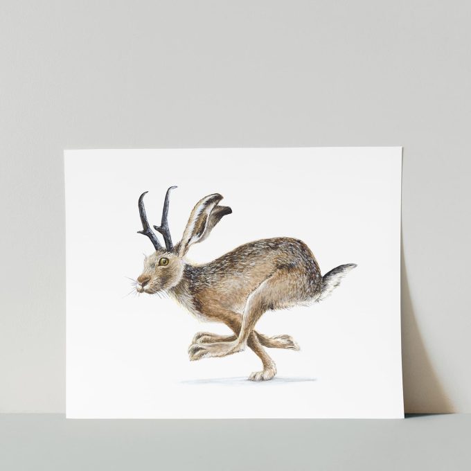 Jackalope 2 Print