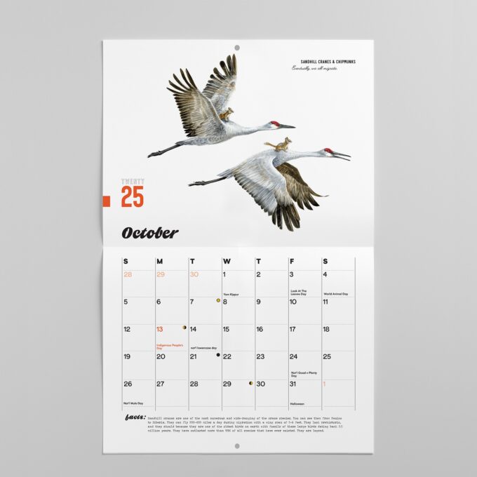 2025 Bird Calendar October