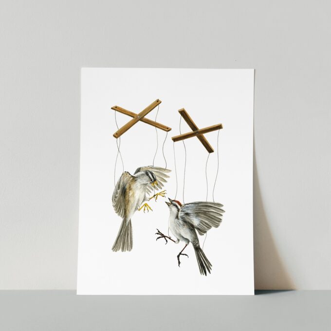 Fighting Sparrows Print