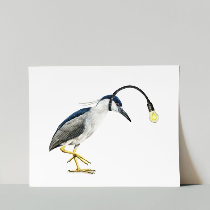 Night Heron Print