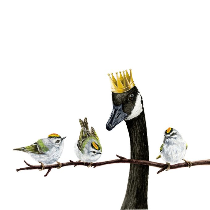 Golden-Crowned Kinglets