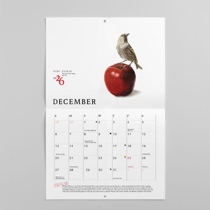 2026 Bird Calendar - Image 10