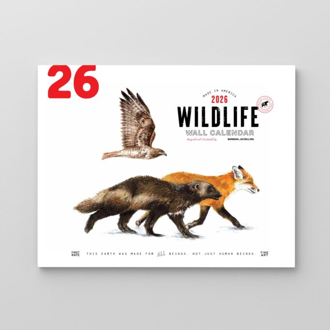 2026 Wildlife calendar