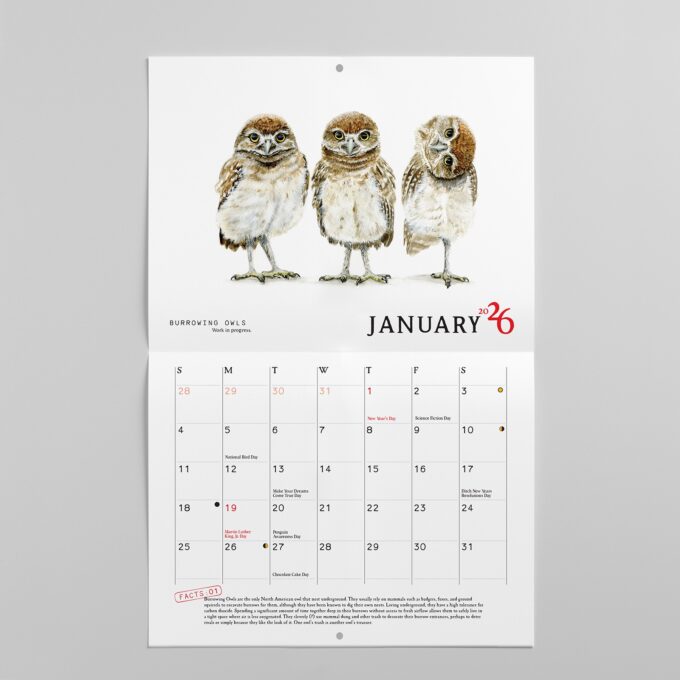2026 Bird Calendar - Image 3