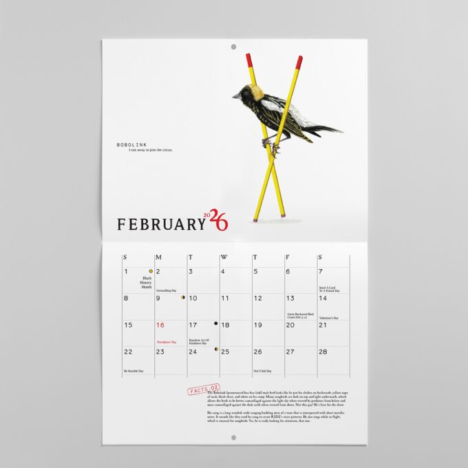 2026 Bird Calendar - Image 4