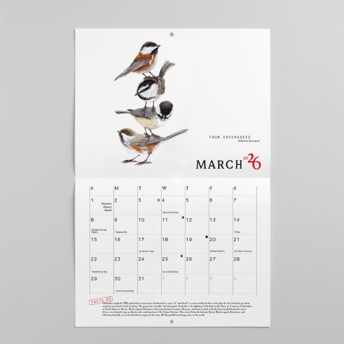 2026 Bird Calendar - Image 5