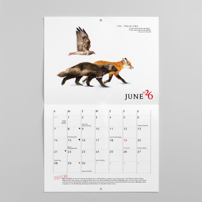 2026 Bird Calendar - Image 6