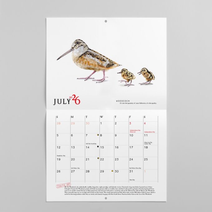 2026 Bird Calendar - Image 7